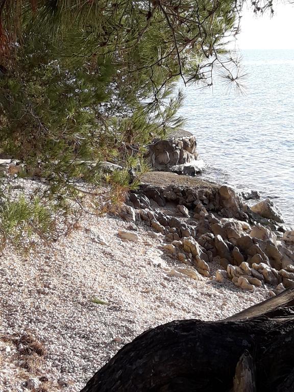 Villa Laurus Kožino Esterno foto