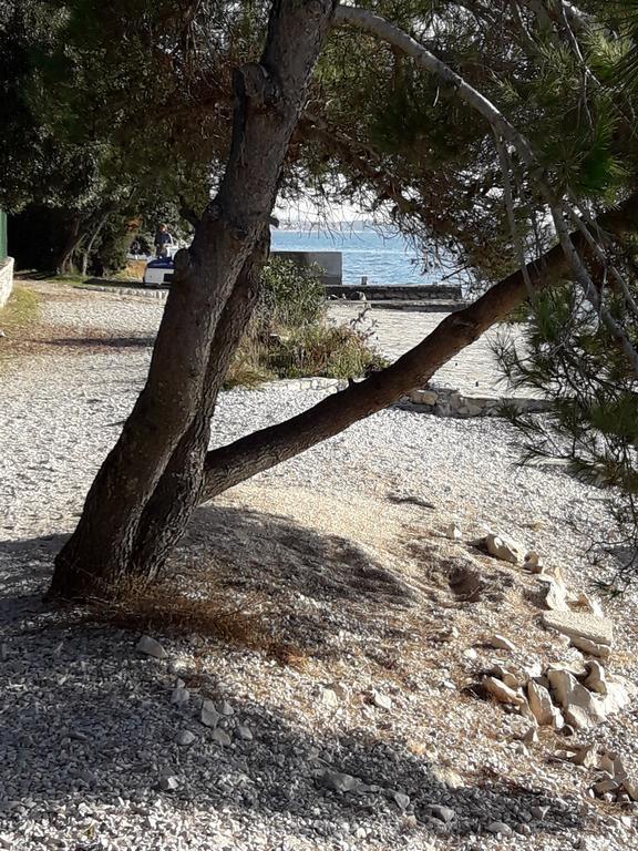 Villa Laurus Kožino Esterno foto